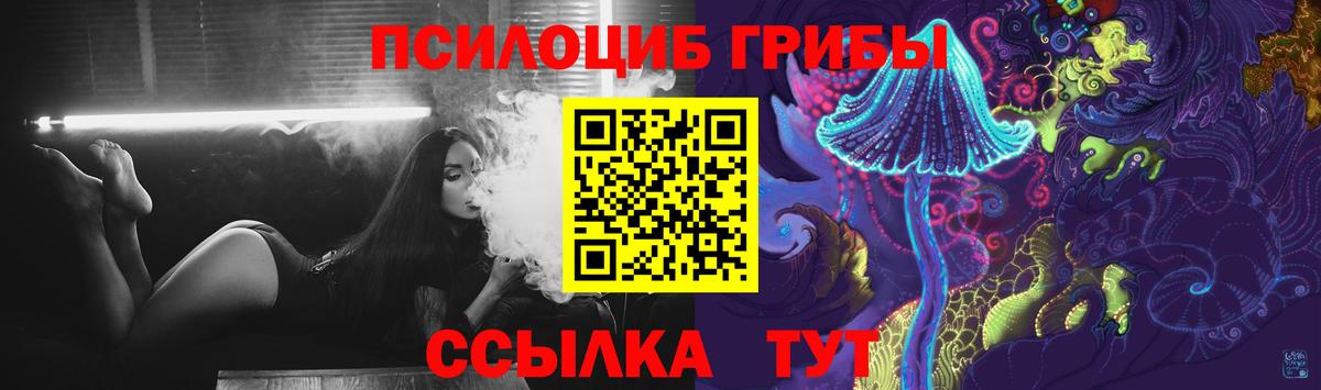 Псилоцибиновые грибы прущие грибы Мурино